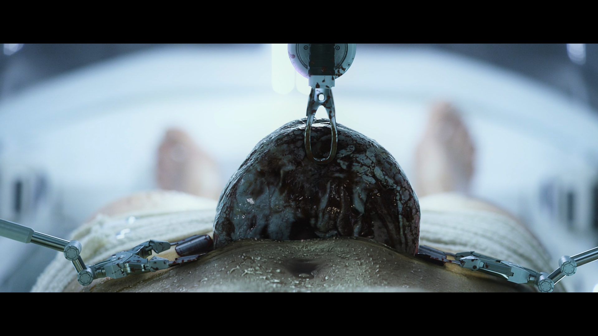 Still 2025 11 01 162655 1.5.1